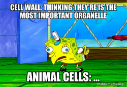 Mocking SpongeBob