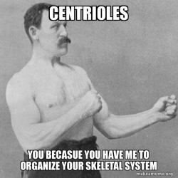 Overly Manly Man