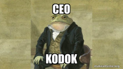 Colonel Toad