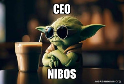 Cool Yoda (Sunglasses)