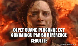 Frodo it's over it's done