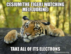 Confession Tiger