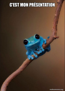 Small Fact Frog