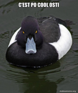 Revenge Duck ( Angry Advice Duck )