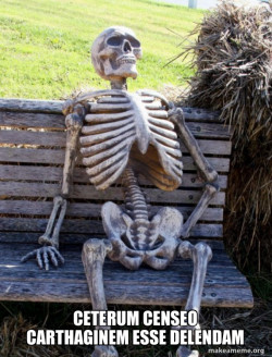 Waiting Skeleton