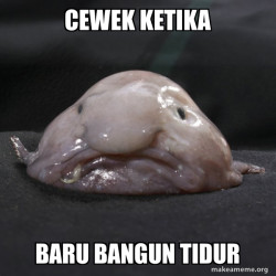 Blobfish