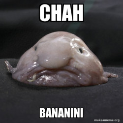 Blobfish