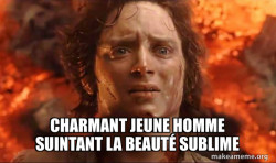 Frodo it's over it's done