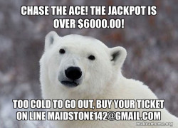 Popular Opinion Polar Bear