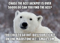 Popular Opinion Polar Bear
