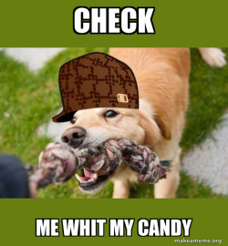 Scumbag dog