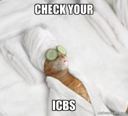 Pampered Cat Meme