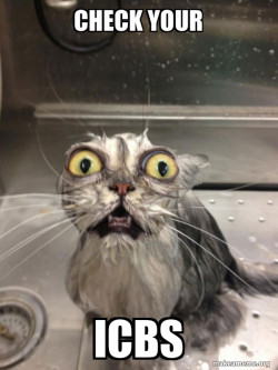 Cat bath