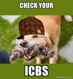 Scumbag dog