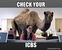 Hump Day Camel