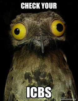 Weird Stuff I do Potoo