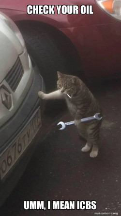 Mechanic Cat
