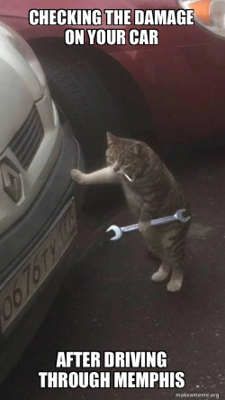 Mechanic Cat