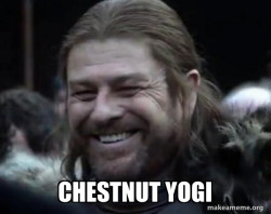 Happy Ned Stark Meme