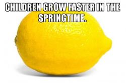 Lemon
