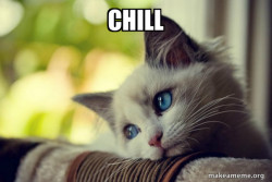 First World Cat Problems