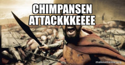 The 300