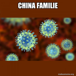 Coronavirus ( COVID-19 )