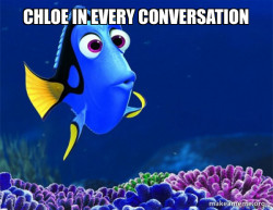 Dory from Nemo  (5 second memory)