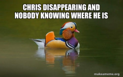 Fashionable Advice Mallard