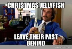 Ron Burgundy - boy that escalated quickly