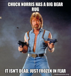 Chuck Norris