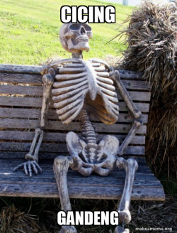 Waiting Skeleton