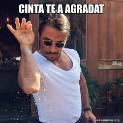SaltBae or Salt Bae 