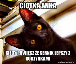 Overly Attached Cat