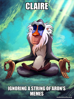 Rafiki Meditating - Lion King
