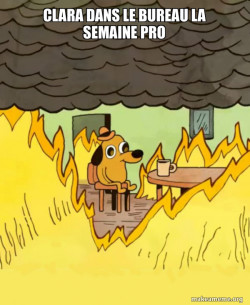 This Is Fine