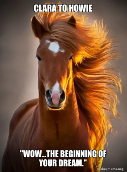 Ridiculously photogenic horse