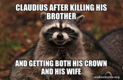 Evil Plotting Raccoon
