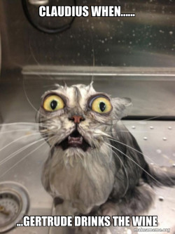 Cat bath