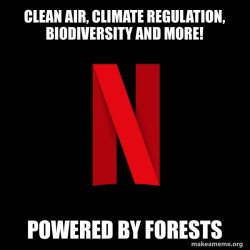 Earth Premium subscription includes: 