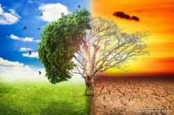 Climate Change / Global Warming