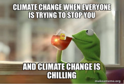 Kermit Drinking Tea