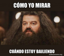 Hagrid - I should not have said that