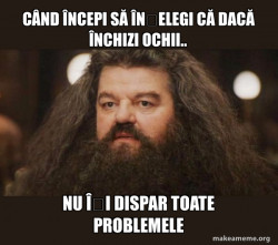 Hagrid - I should not have said that