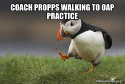 Unpopular Opinion Puffin