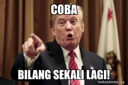 Donald Trump Says