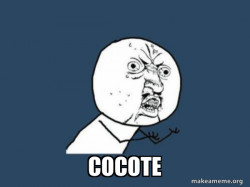 Y U No
