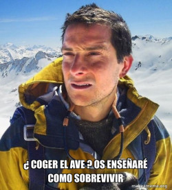 Bear Grylls