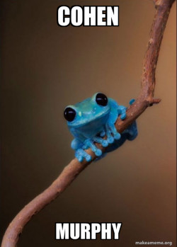 Small Fact Frog