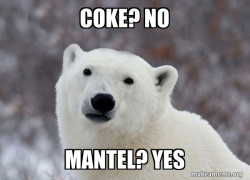 Popular Opinion Polar Bear